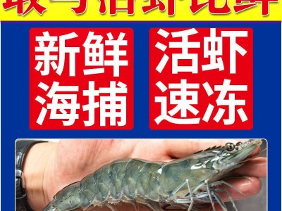 大虾批发青岛鲜活冷冻大海虾新鲜海捕青虾海鲜白虾对虾非基围虾图5