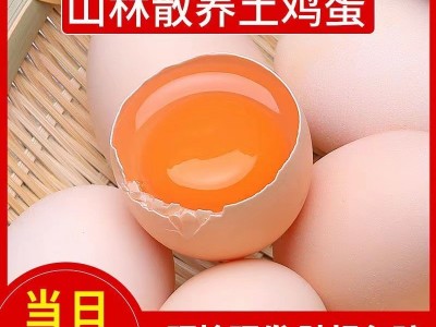 正宗农家散养土鸡蛋新鲜自养土鸡蛋草鸡蛋笨鸡蛋柴鸡蛋整箱包邮图3