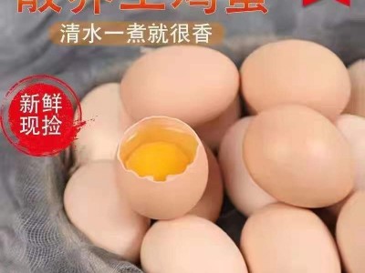 正宗农家散养土鸡蛋新鲜自养土鸡蛋草鸡蛋笨鸡蛋柴鸡蛋整箱包邮图4