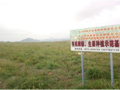 厂家直供云南有机丘北辣椒面辣椒碎散装批发代加工出口贸易图2