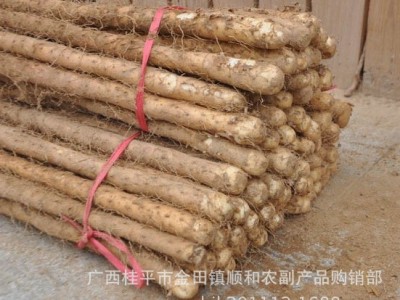 新鲜山药 铁棍山药 河南特产批发图4