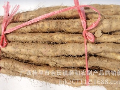 新鲜山药 铁棍山药 河南特产批发图3