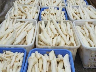 现货批发 量大优惠挖山药 铁棍山药 紫山药白山药图3