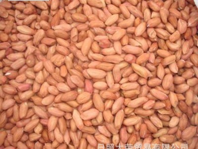 生白沙花生米 红皮花生出口 脱皮乳白大花生图2