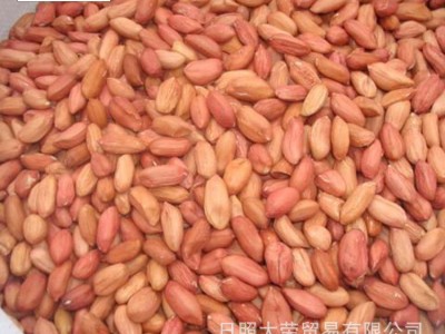 生白沙花生米 红皮花生出口 脱皮乳白大花生图4