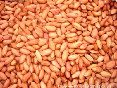 生白沙花生米 红皮花生出口 脱皮乳白大花生图5