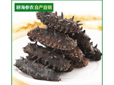 产地货源大连海参干货批发底播淡干辽参水产干货大连特产淡干海参图4