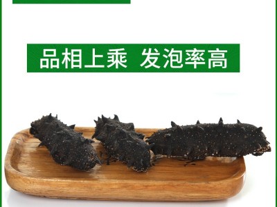 海参工厂大连特产淡干海参干货批发水产干货辽参大连海参批发图3