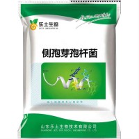 侧孢短芽孢杆菌 100亿/g 全水溶 生物防治菌腐熟有机肥微生物菌剂