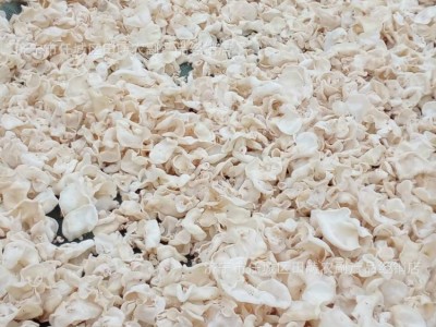 菌菇干货白玉木耳散装白木耳新品产地直发大量供应玉木耳图3