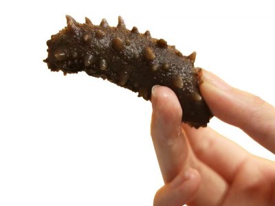 淳古鲜炖海参调味即食海参某店同款开盖即食180g大连底播海参礼盒图4