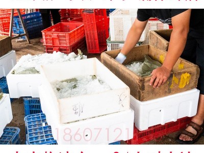 湖北洪湖小龙虾批发 新鲜活虾中红中青虾商用30斤红壳虾餐馆包邮图4