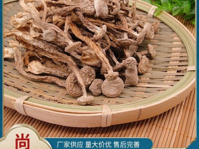 鹿茸菇鹿茸菌干货鹿茸菇干货鹿茸菌农副产品食用菌干货菌菇批发图3