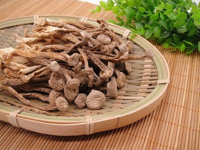 鹿茸菇鹿茸菌干货鹿茸菇干货鹿茸菌农副产品食用菌干货菌菇批发图4