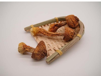 姬松茸滋补品新货巴西菇 食用菌 菌菇散装 松茸菌干货批发图5