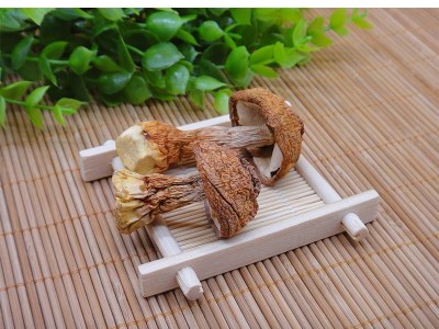 姬松茸滋补品新货巴西菇 食用菌 菌菇散装 松茸菌干货批发图3