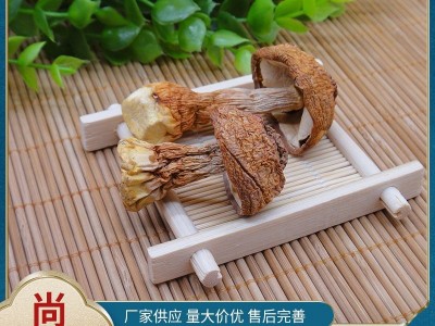 姬松茸滋补品新货巴西菇 食用菌 菌菇散装 松茸菌干货批发图1