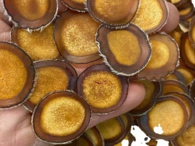 东北吉林鹿乡鹿茸片半腊片干度好诚招代理全国包邮鹿茸半腊片鹿茸图5