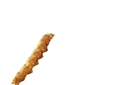 野生冬虫夏草一克3-4根产地直销一手货源无牙签精选品质 海拔4500图2