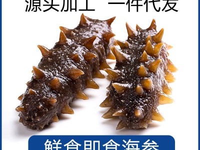 鲜食海参批发非大连干货海参礼盒大连鲜食即食海参500g图2