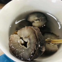 鲜食海参批发非大连干货海参礼盒大连鲜食即食海参500g