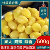 邳州特产银杏仁真空包鲜去壳去皮白果仁500g袋装可出口商检