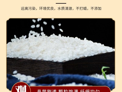 丝苗米长粒香大米 2斤5斤真空装 香软细腻优质大米煲仔饭专用米图4