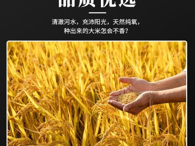 丝苗米长粒香大米 2斤5斤真空装 香软细腻优质大米煲仔饭专用米图5