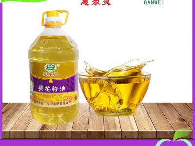 正宁县惠尔灵葵花籽油5L 民生油 家用商用食用油图1