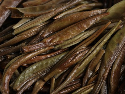 批发云南普洱茶2022年白毫银针单芽月光白（小芽）大白毫单芽散茶图4