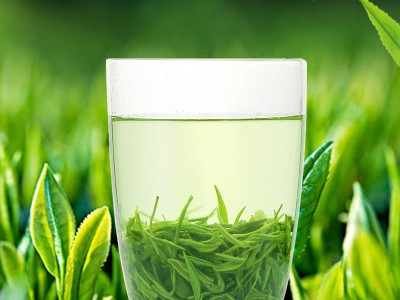 2021年新茶毛尖茶叶绿茶非散装茶叶浓香型200g礼盒罐装【大】图2