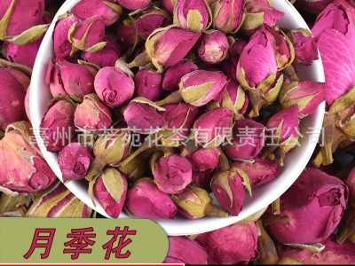 山东月季花茶小月季花茶大月季 月季花茶芳苑厂家直销月季花批发图2