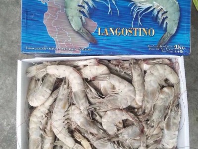 盐冻白虾 净重4斤/盒 广州批发厄瓜多尔40/50老船长白虾 南美虾图4