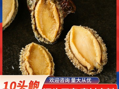现货冷冻10头鲍批发 养殖场直供去壳鲍鱼肉 酒店食材供应鲍鱼冻品图3