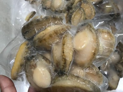 现货冷冻10头鲍批发 养殖场直供去壳鲍鱼肉 酒店食材供应鲍鱼冻品图4