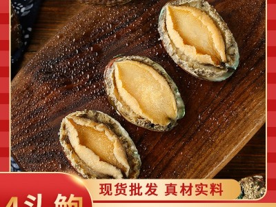 现货新鲜冷冻大鲍鱼 福建速冻四头鲍真空袋装养殖场直供酒店食材图1