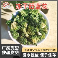 脱水蔬菜干冻干西蓝花FD西蓝花真空冷冻干燥西蓝花干厂家直供