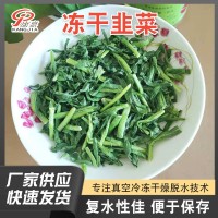 脱水蔬菜干冻干韭菜FD韭菜真空冷冻干燥韭菜干厂家直供