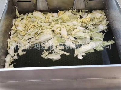 大型洗菜机商用 全自动果蔬清洗机 大厨房用涡流洗菜机自动出料图4