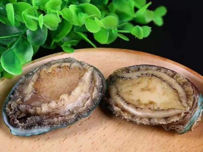 批发带壳去内脏冷冻鲍鱼400g 8头 10头 12头熟冻鲍鱼 火锅鲍图2