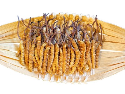 西藏那曲冬虫夏草 原产地直供各规格冬虫草干冻虫草茶 虫草代发图5