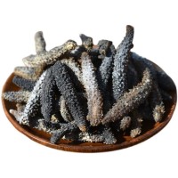 印尼小黑刺淡干海参高泡发速发足干海参批发非即食海参