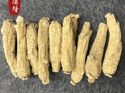 加拿大足龄西洋参20克短粒頭 花旗参软枝短粗大粒头参段看切片图3