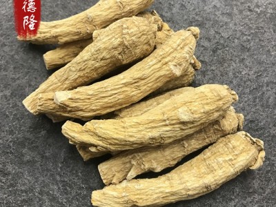 加拿大足龄西洋参20克短粒頭 花旗参软枝短粗大粒头参段看切片图4