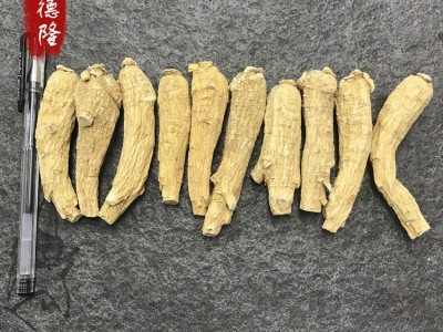 加拿大足龄西洋参20克短粒頭 花旗参软枝短粗大粒头参段看切片图5