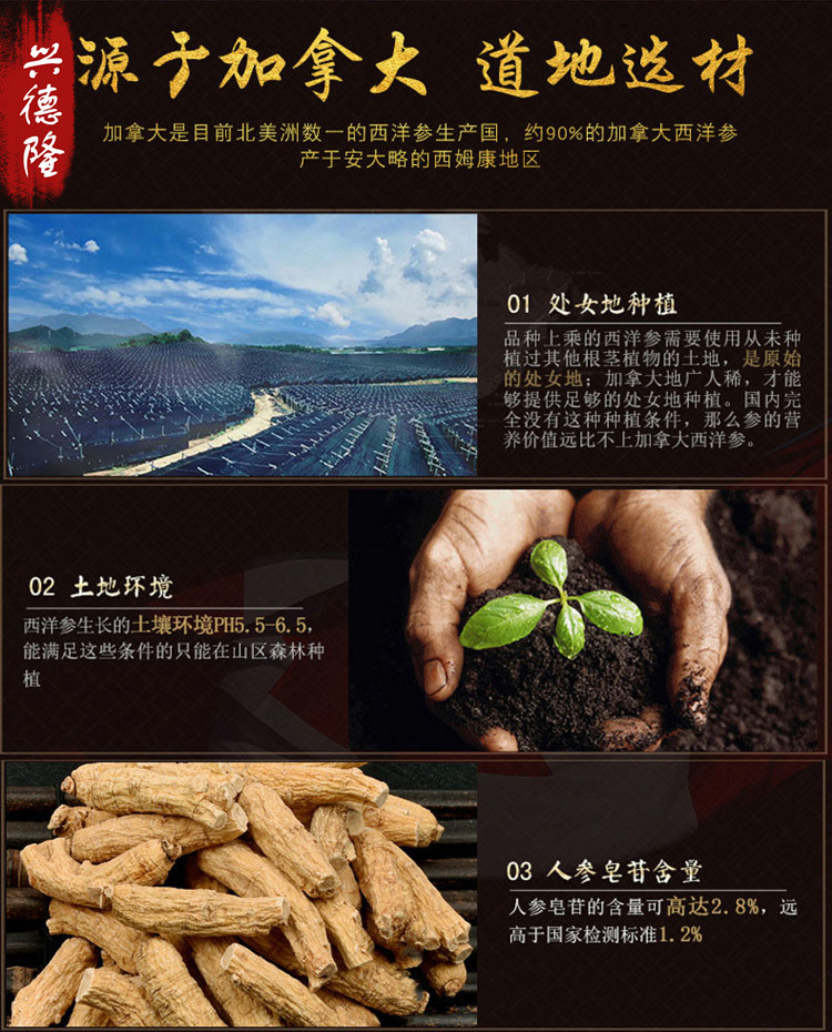 3997583495_1917851599_副本.jpg