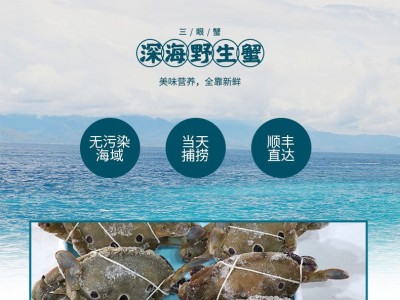 现货批发梭子蟹三眼蟹水产海鲜新鲜船冻产地直发速冻梭子蟹大螃蟹图3