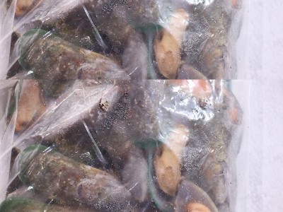 新西兰青口贝 全壳半壳厂地直销批发水产新鲜海产量大电联图2