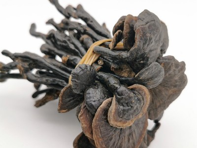 产地大货供应竹灵芝深山灵芝 赤灵芝紫灵芝免费打粉切片图5