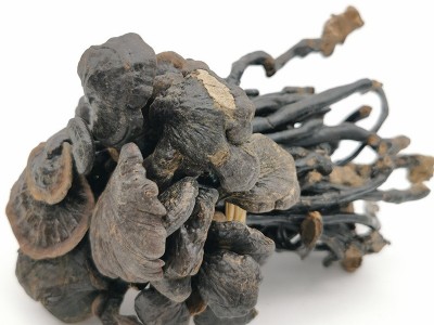 产地大货供应竹灵芝深山灵芝 赤灵芝紫灵芝免费打粉切片图2